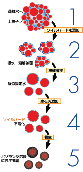 土の改良メカニズム